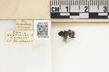 Media type: image;   Entomology 790654 Aspect: Labels